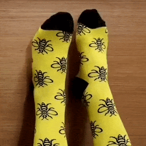 The perfect Christmas gift... SOCKS! 🧦