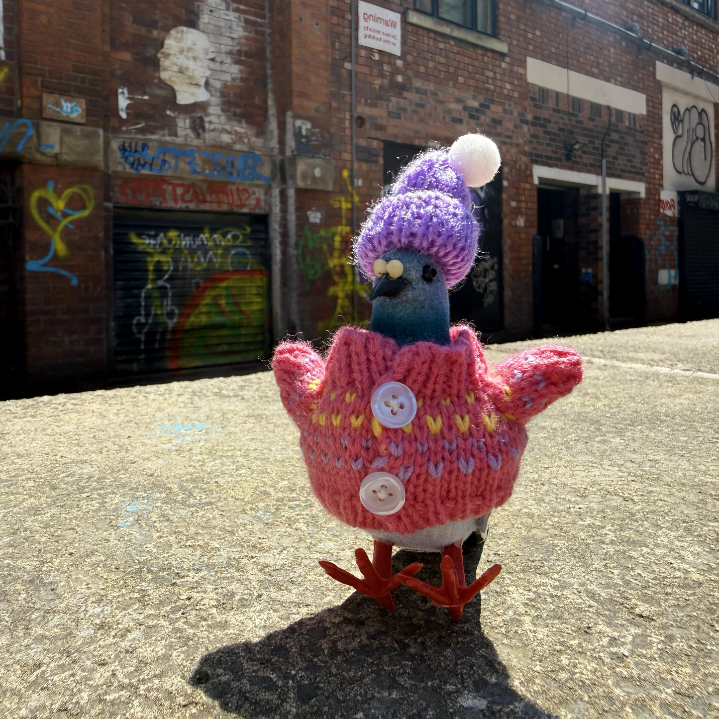 Pigeon Decoration