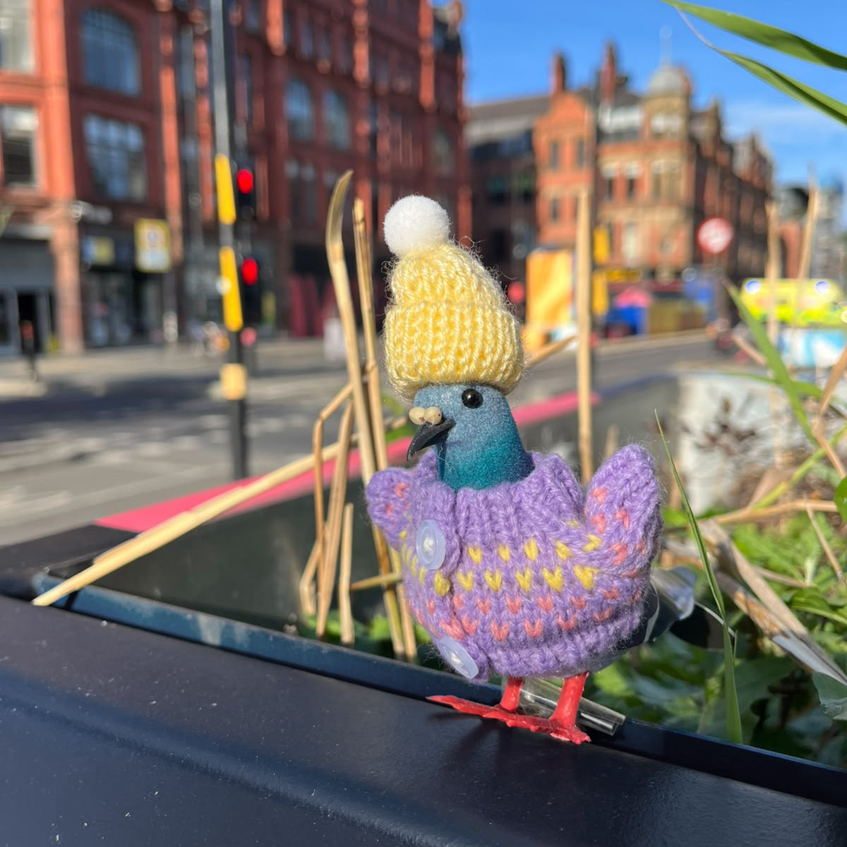 Pigeon Decoration