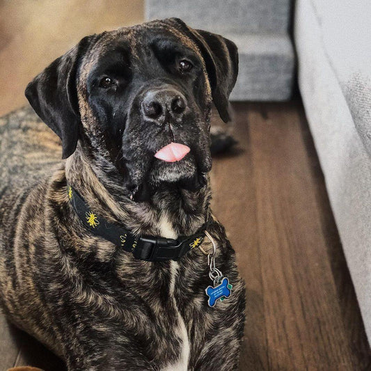 Get them Stockings Filled! 🎁 - The Manchester Shop