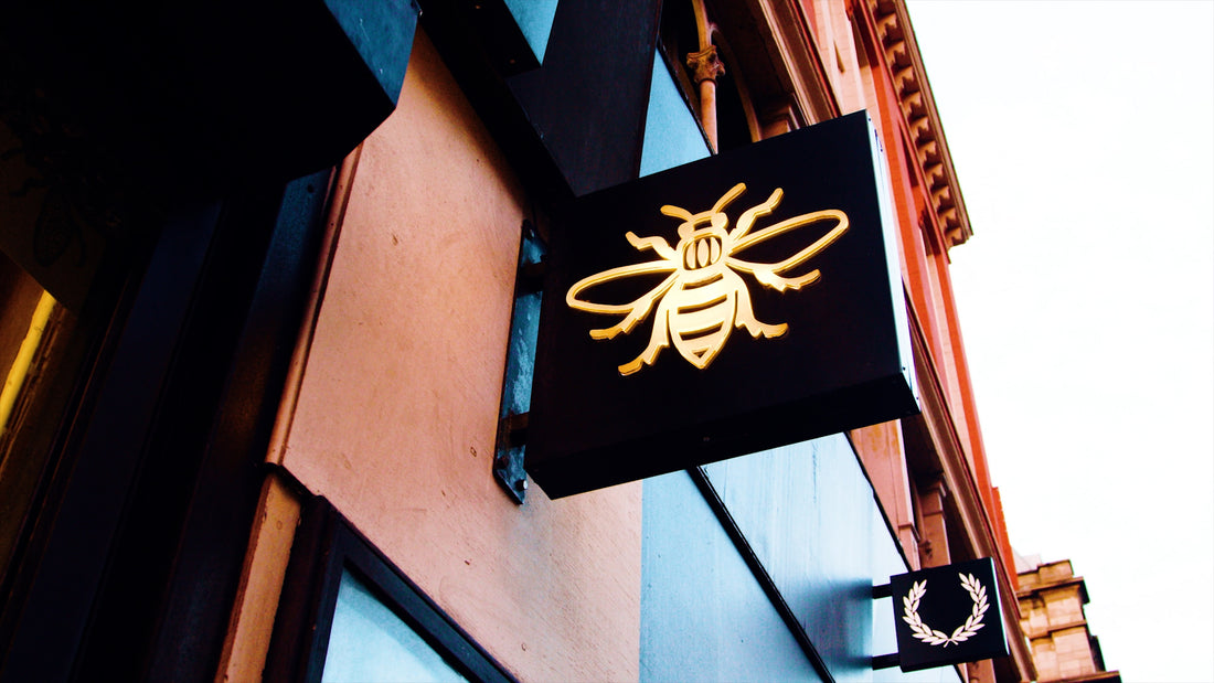 A Complete Guide To The Manchester Bee
