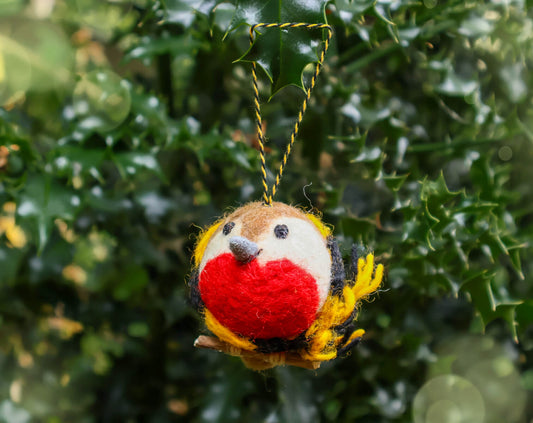 Robin with Scarf Decoration