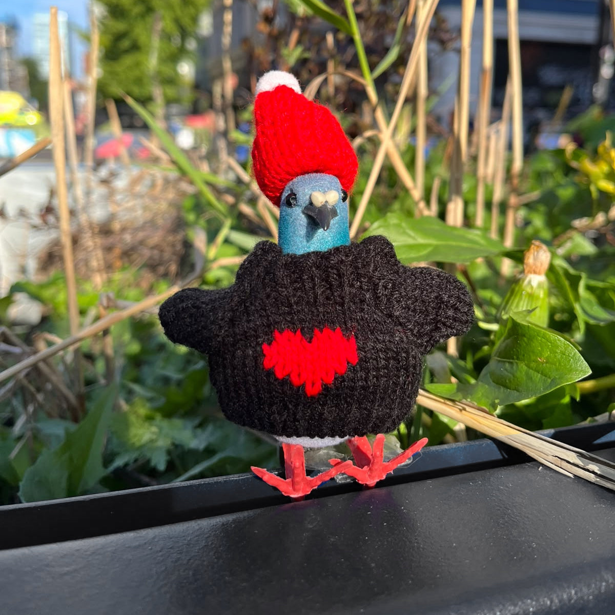 Pigeon Decoration