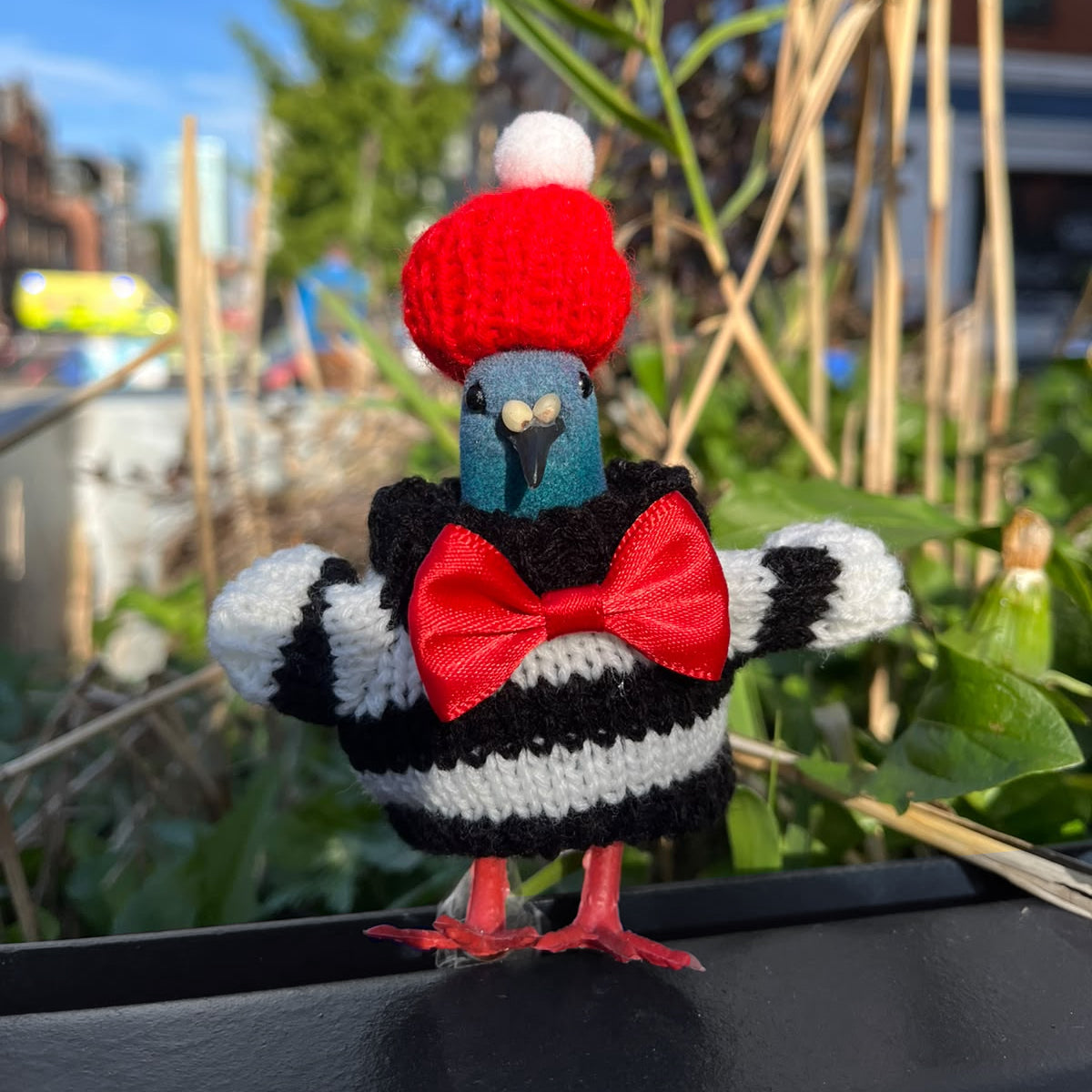 Pigeon Decoration