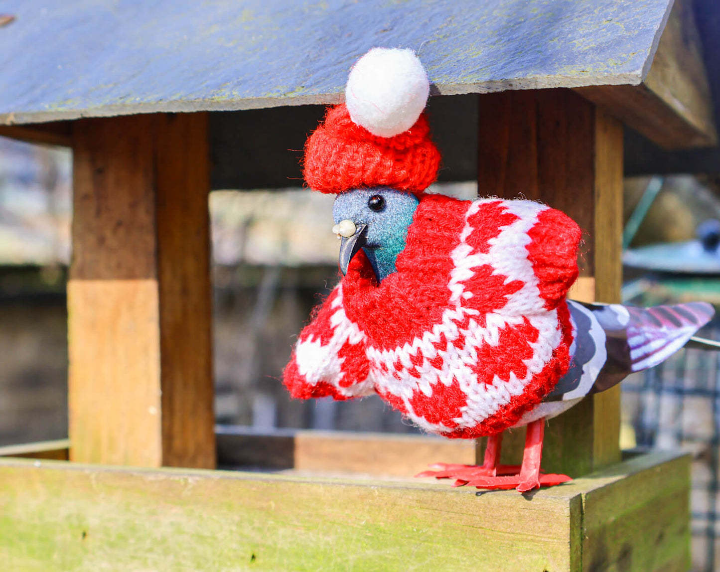 Pigeon Decoration • The Manchester Shop