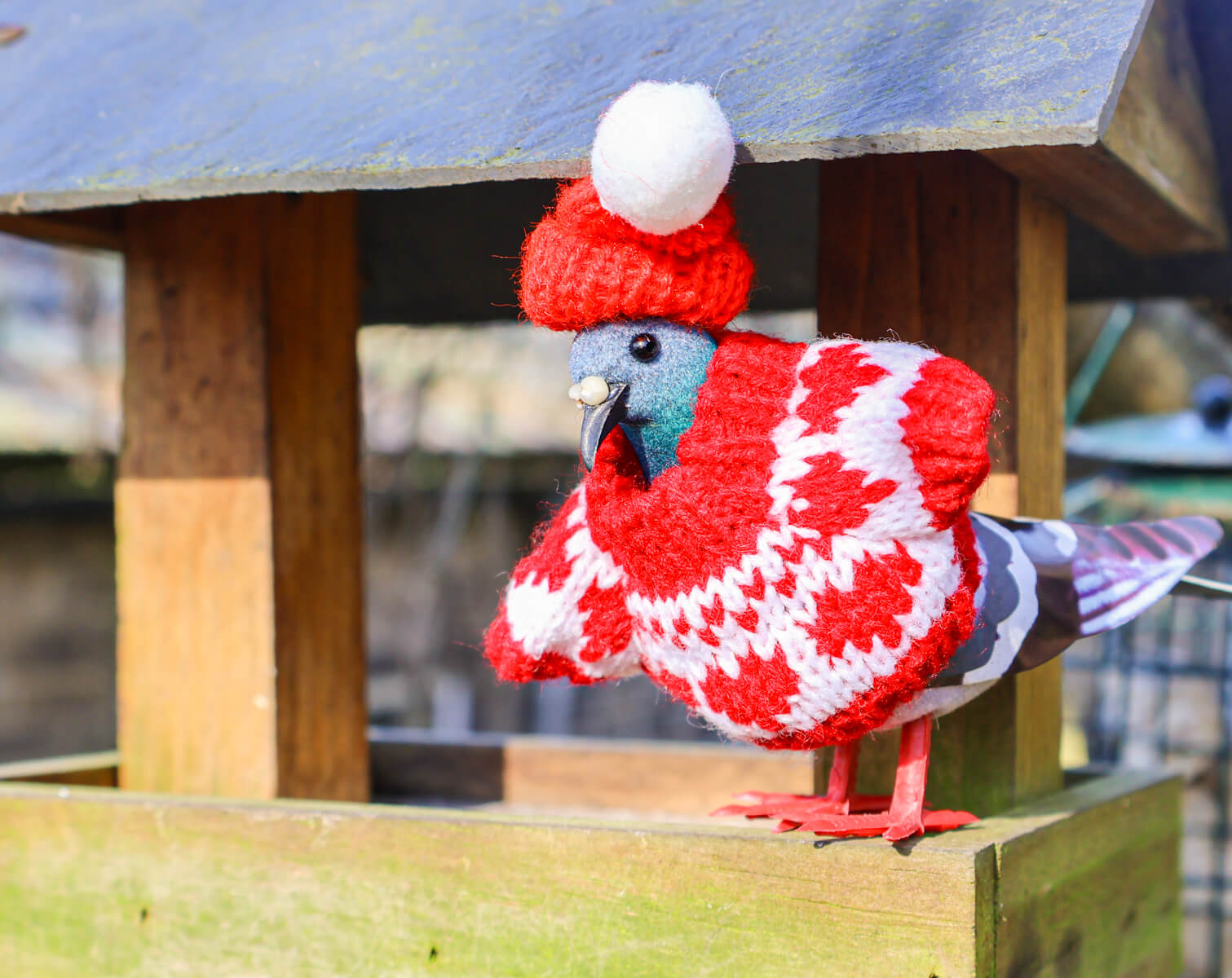 Pigeon Decoration • The Manchester Shop