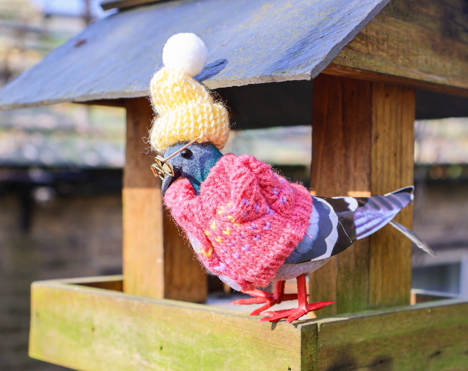 Pigeon Decoration • The Manchester Shop