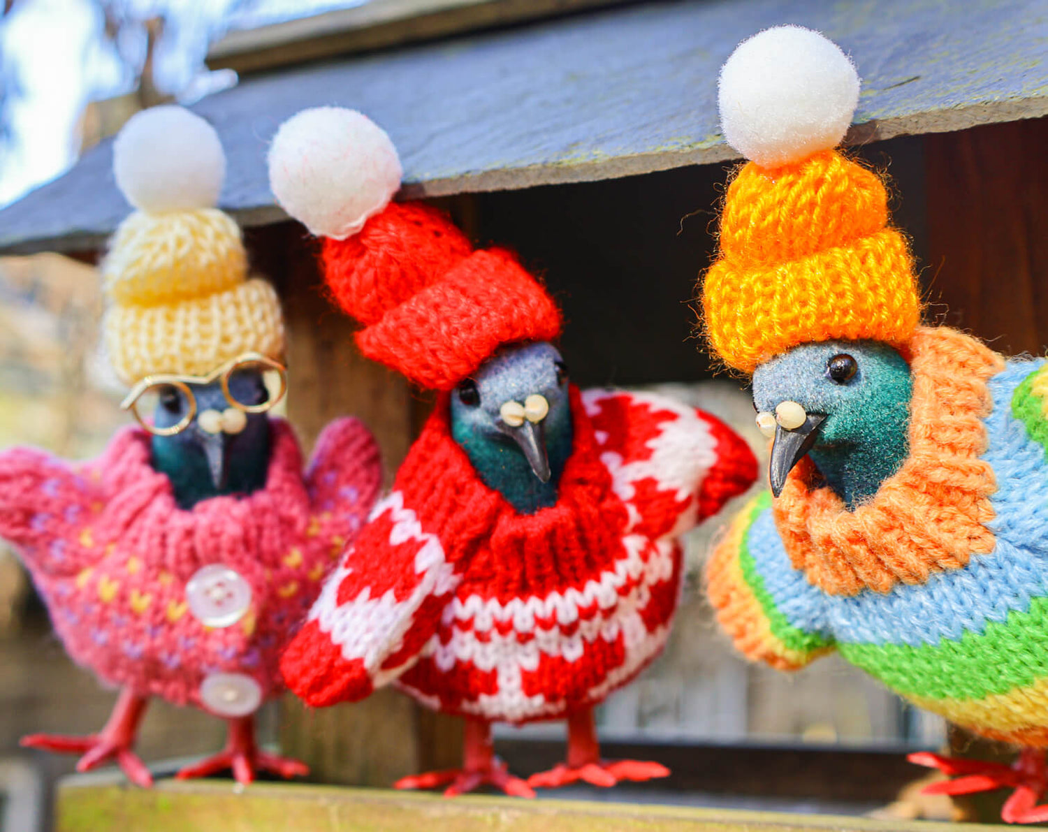 Pigeon Decoration • The Manchester Shop