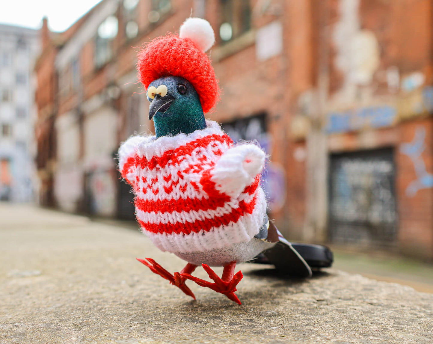 Pigeon Decoration • The Manchester Shop