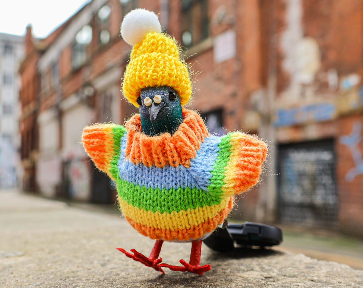 Pigeon Decoration • The Manchester Shop