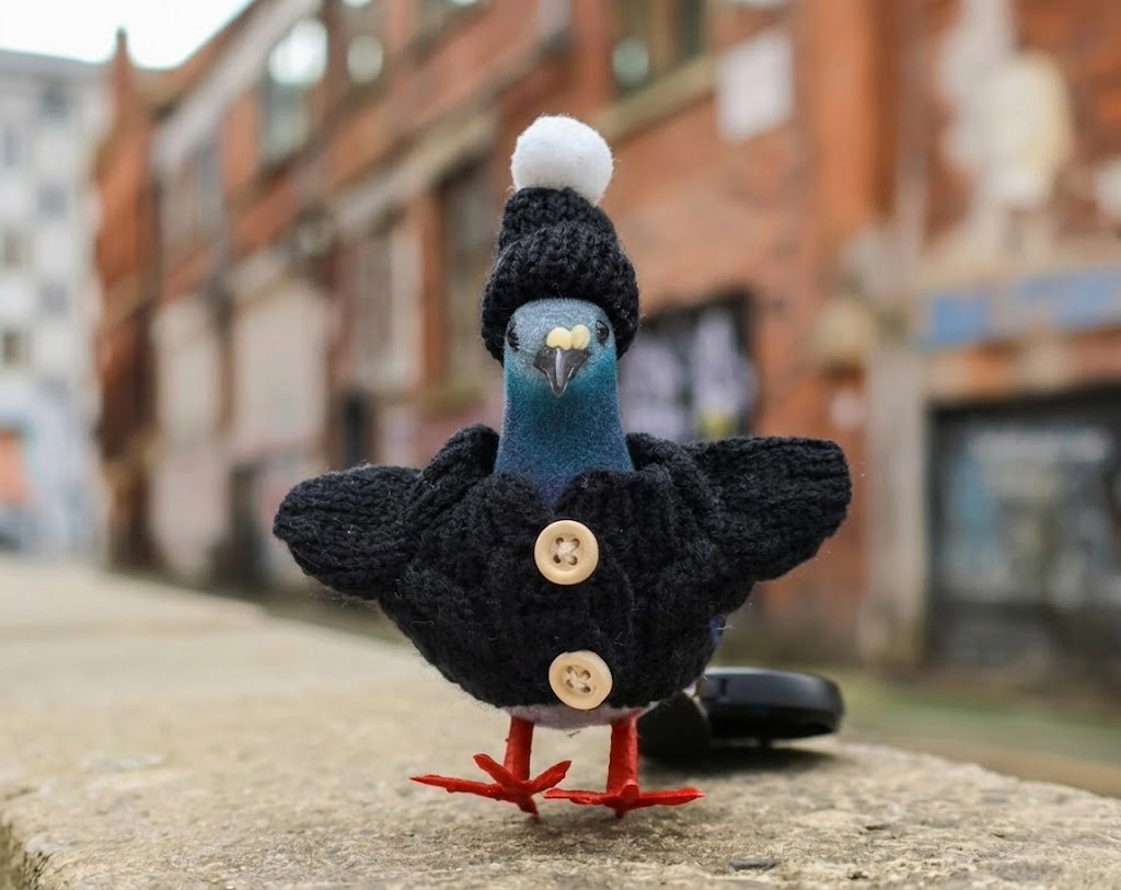 Pigeon Decoration • The Manchester Shop