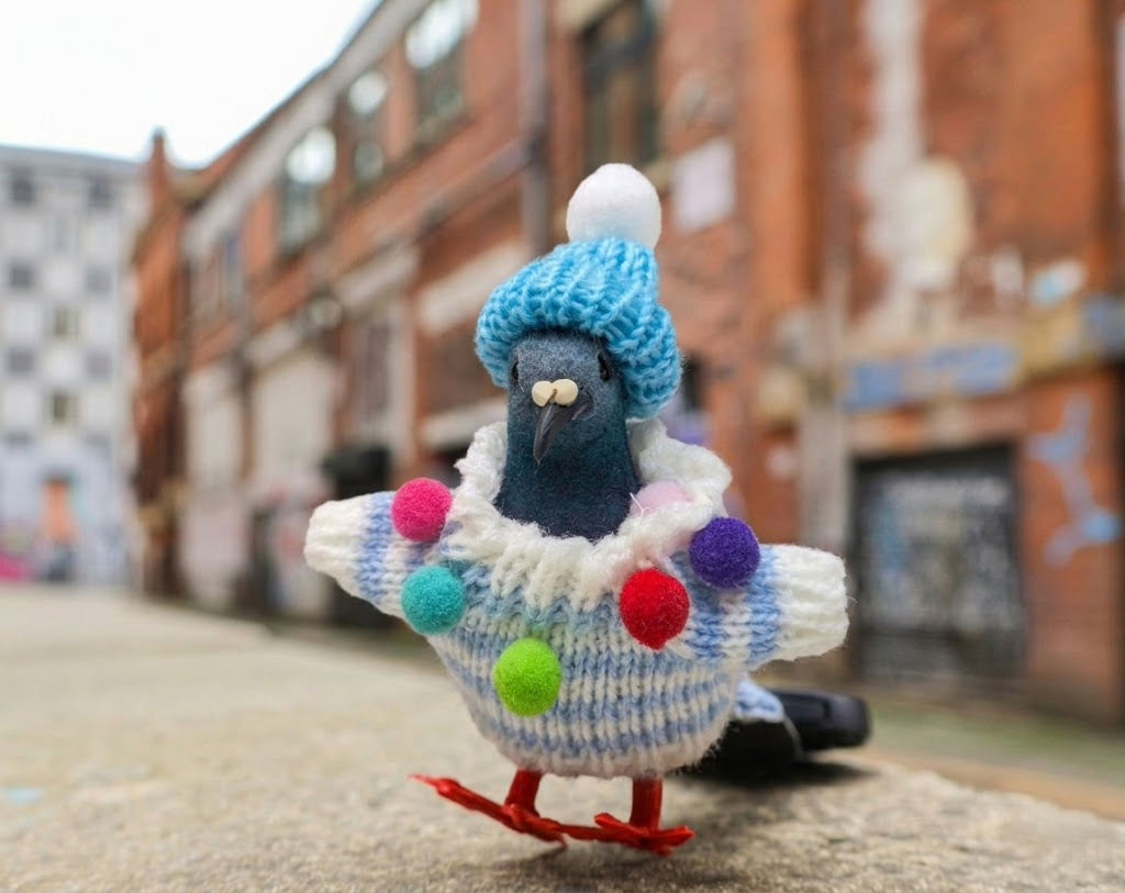 Pigeon Decoration • The Manchester Shop
