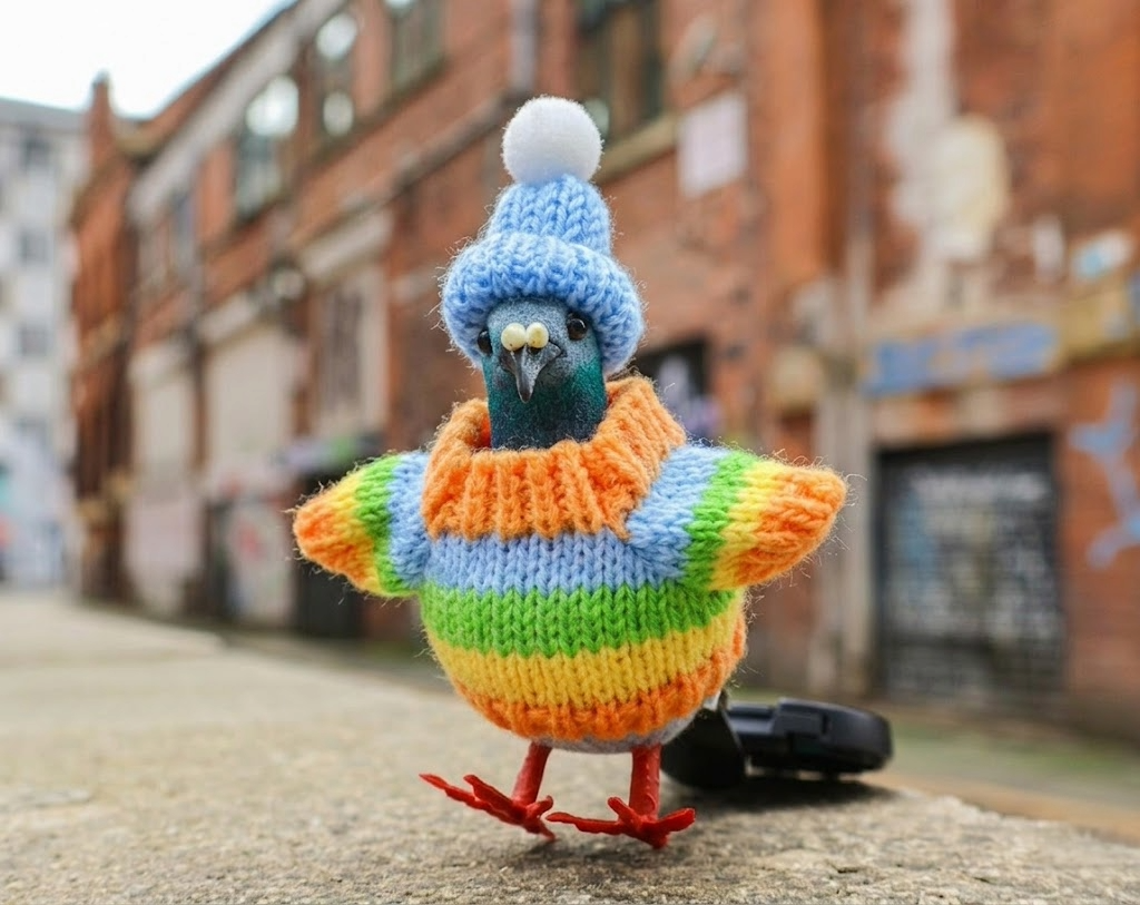 Pigeon Decoration • The Manchester Shop