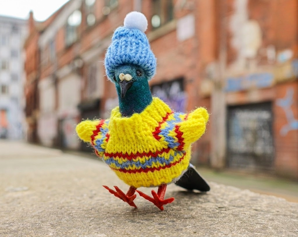 Pigeon Decoration