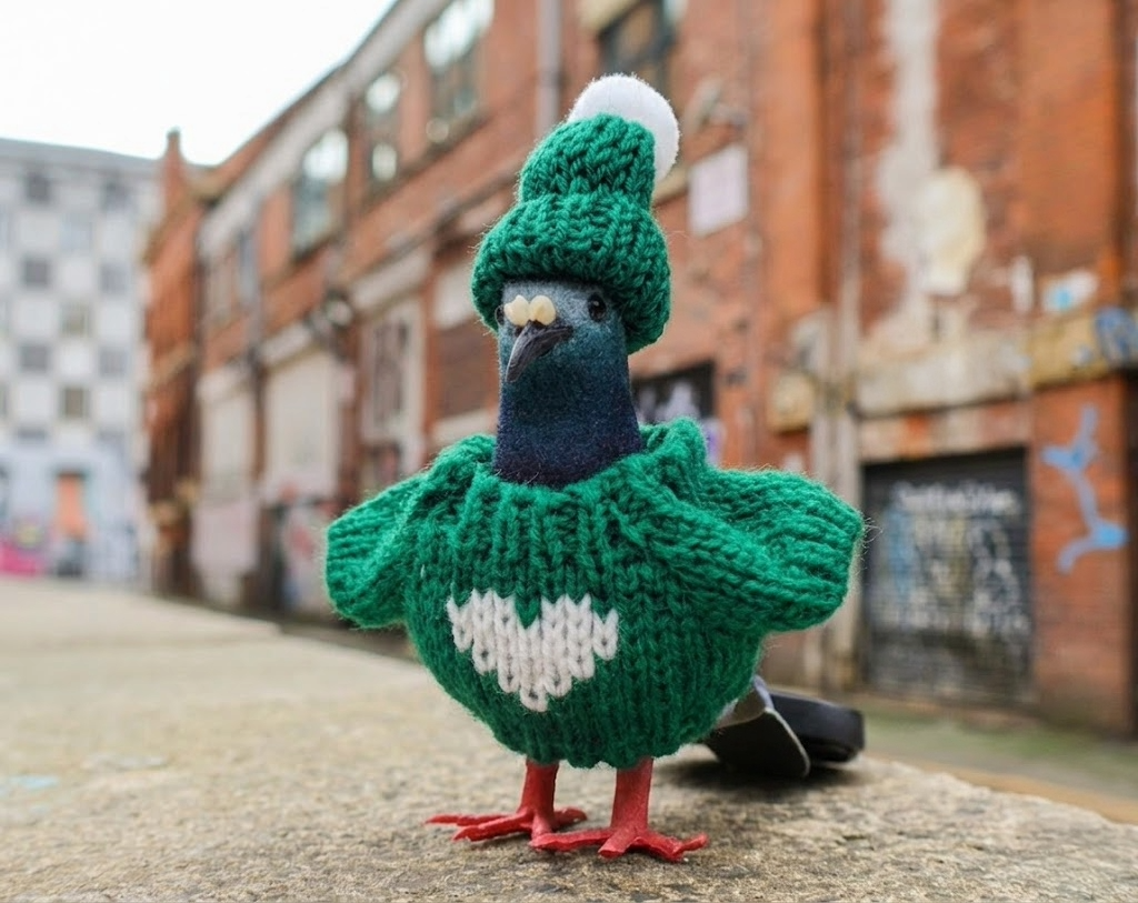 Pigeon Decoration • The Manchester Shop