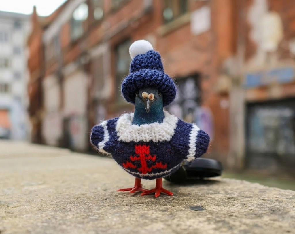 Pigeon Decoration • The Manchester Shop