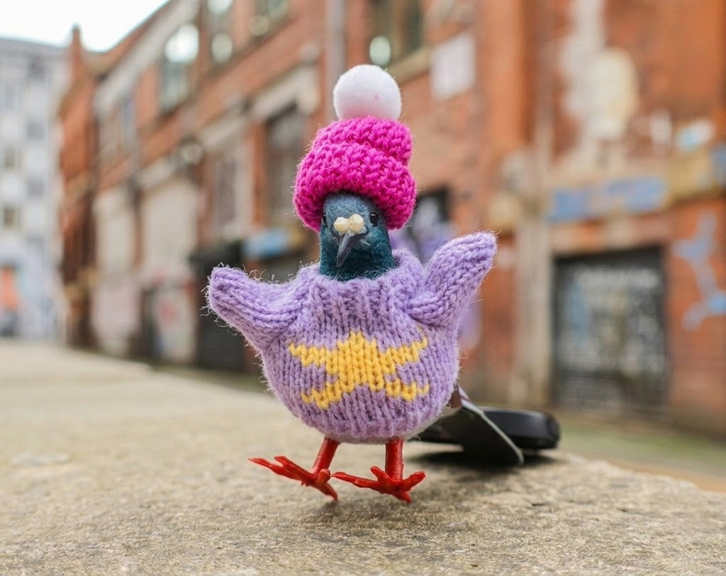 Pigeon Decoration • The Manchester Shop