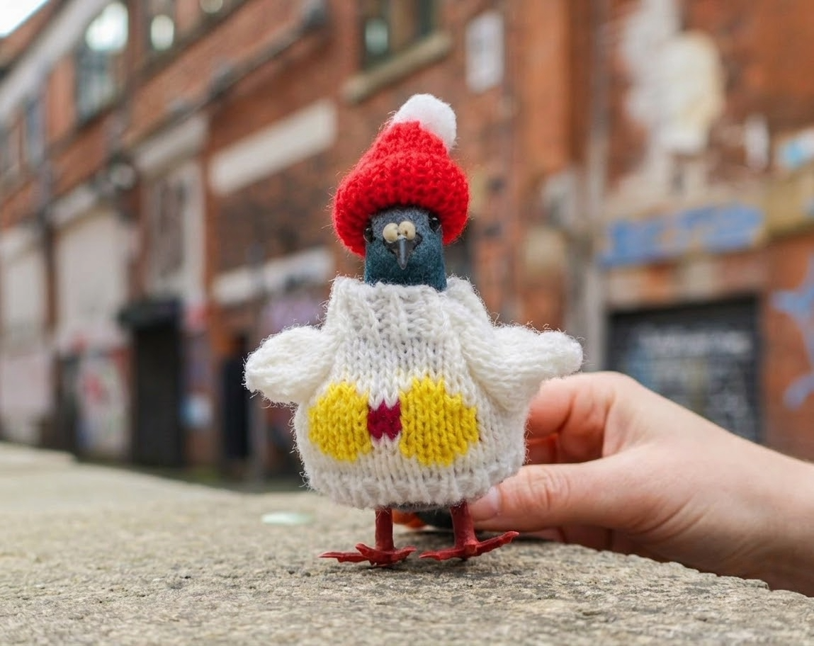 Pigeon Decoration • The Manchester Shop