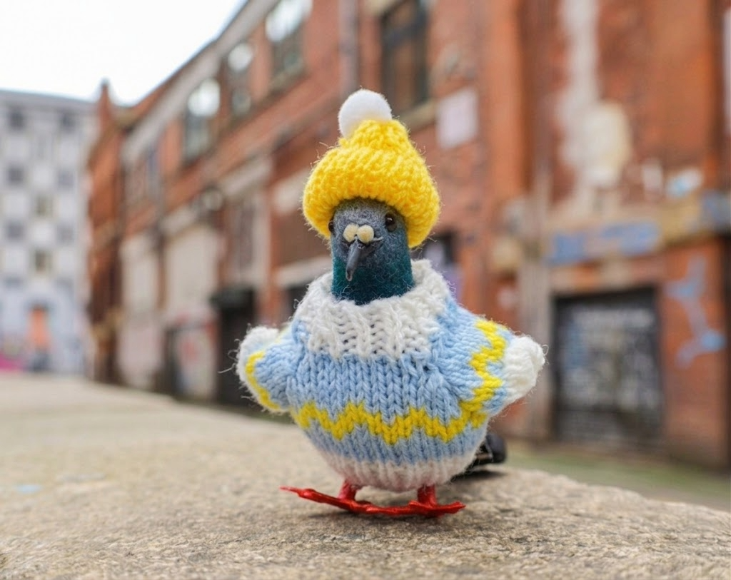 Pigeon Decoration
